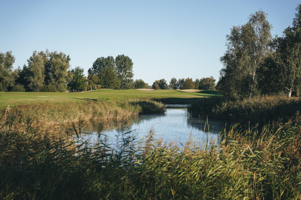 Provisorisk boll och pliktområden