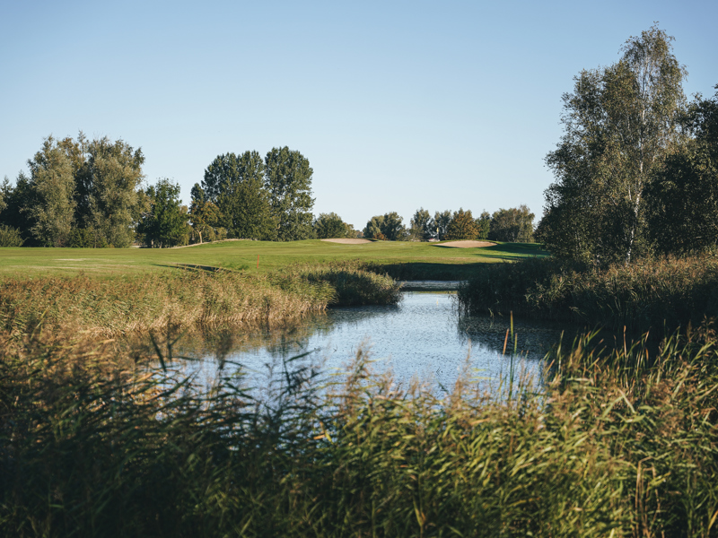 Provisorisk boll och pliktområden