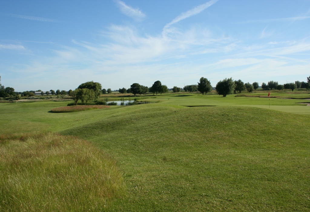 IMG 0139 (1)