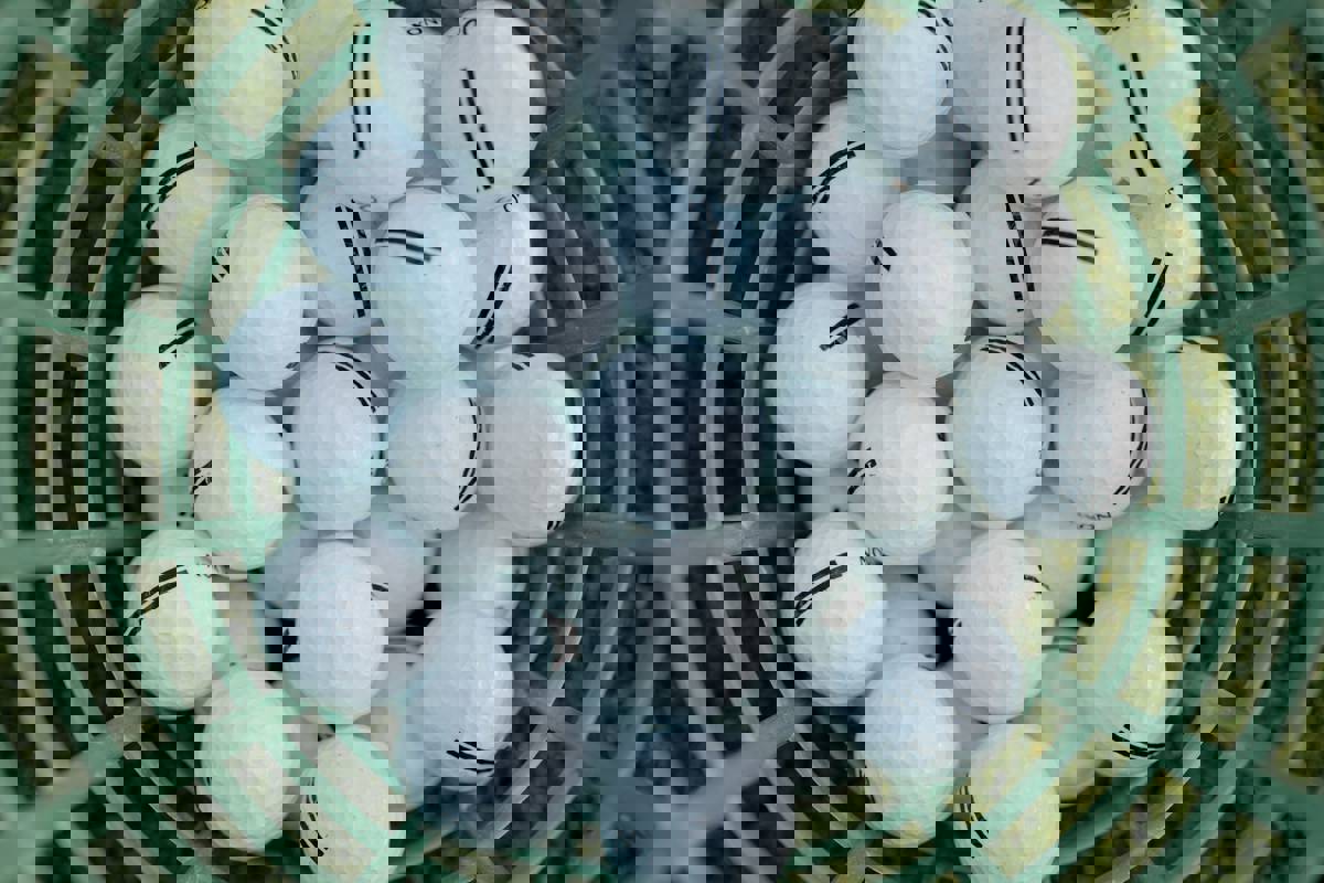 Pexels Cottonbro 6256752