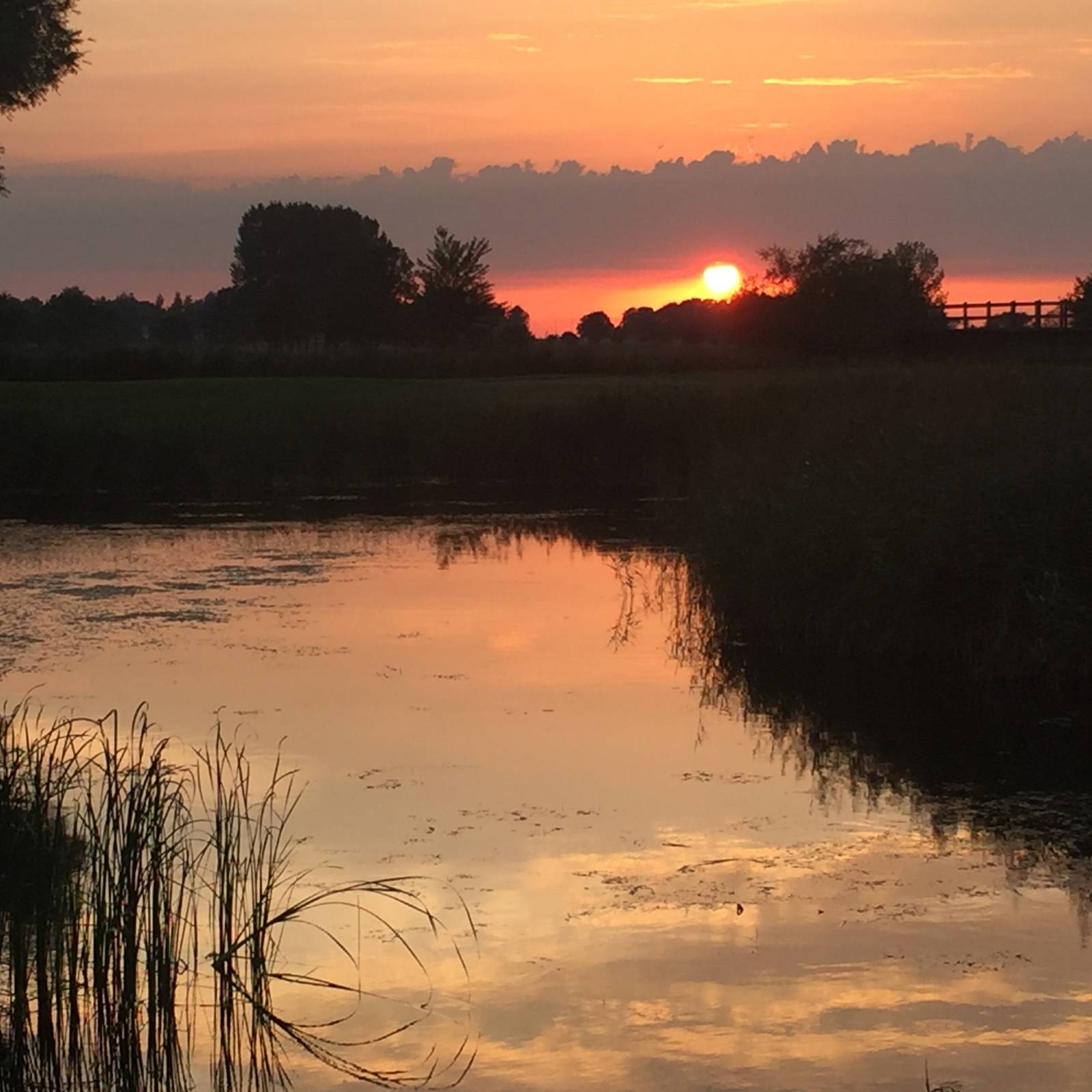 Bild12