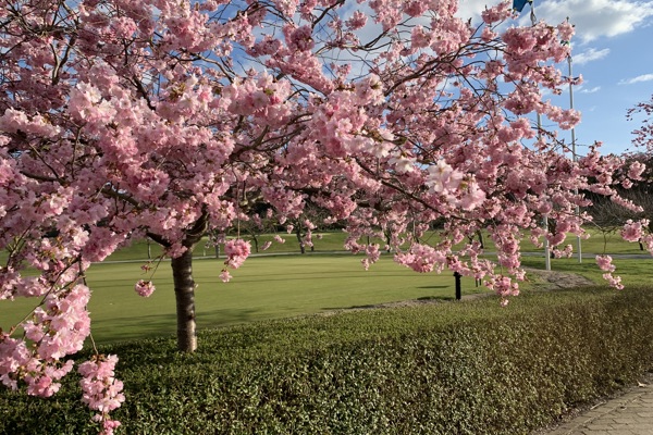 Kallelse Vårmöte Örestads GK och Årsstämma Habo Golf AB