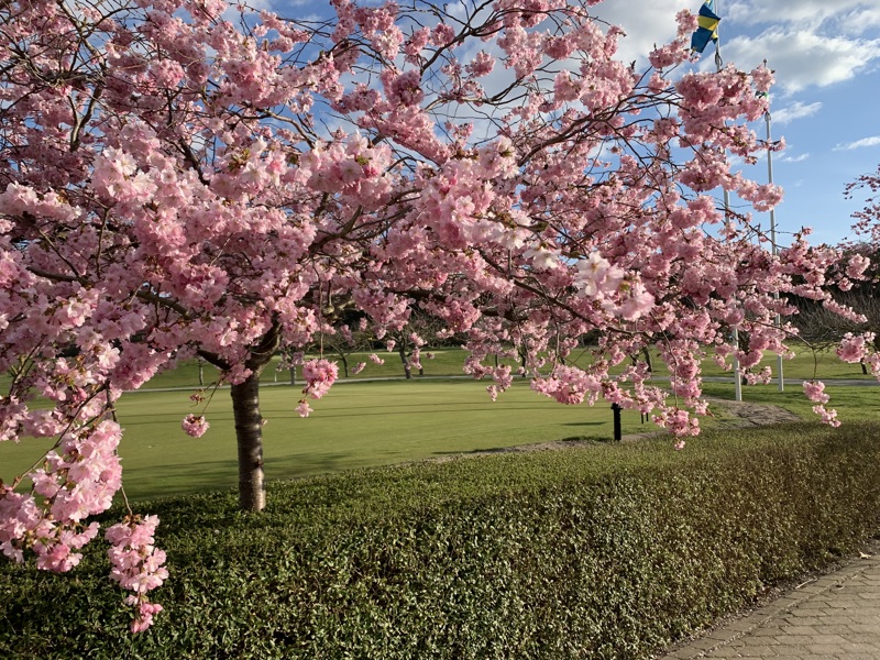 Kallelse Vårmöte Örestads GK och Årsstämma Habo Golf AB